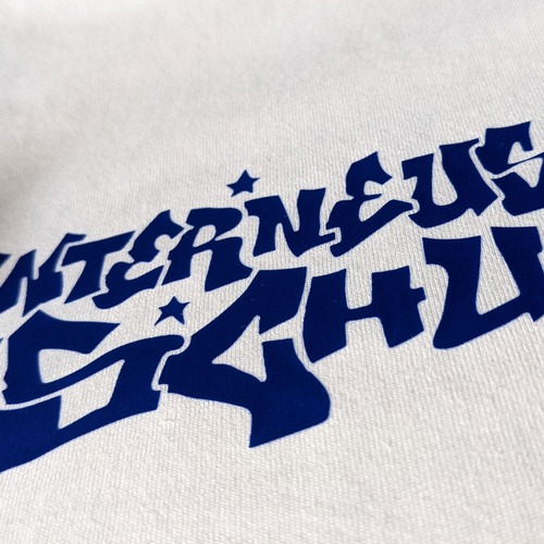 Schullogo auf weißem Shirt gedruckt mit DTF – Stoff³ Kassel